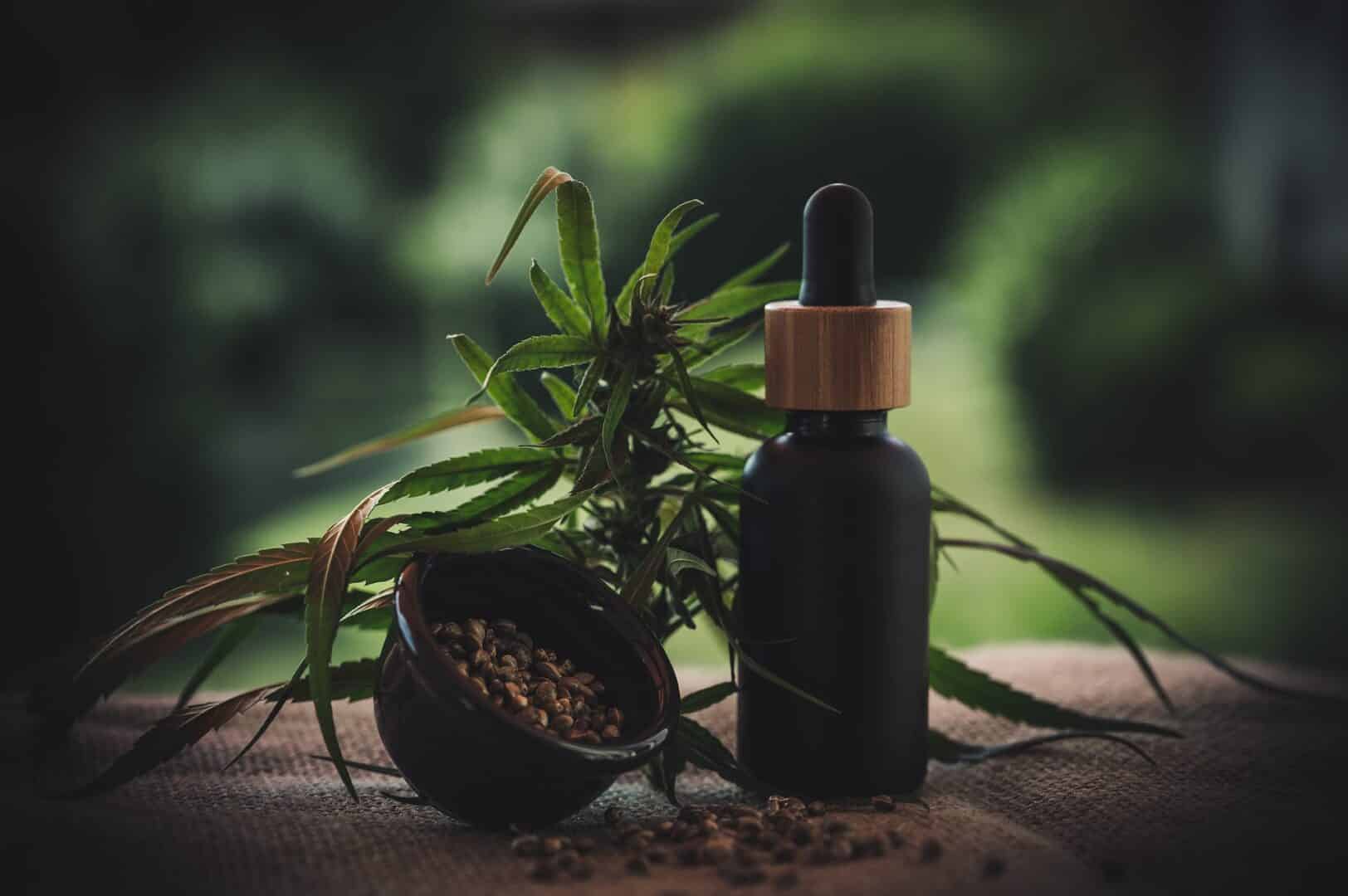 interactions medicamenteuses du cbd