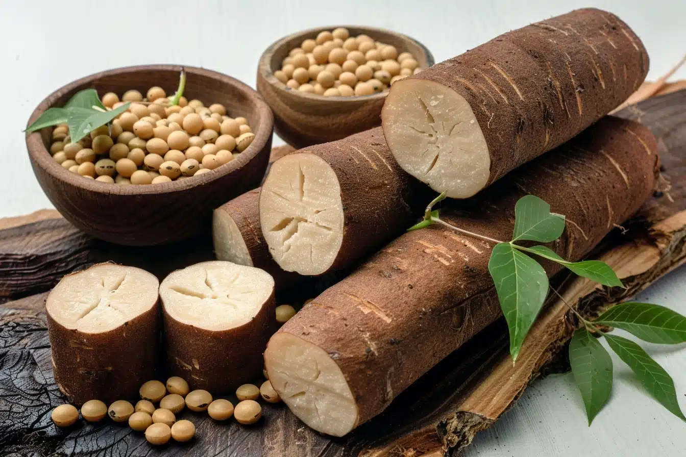yam et soja